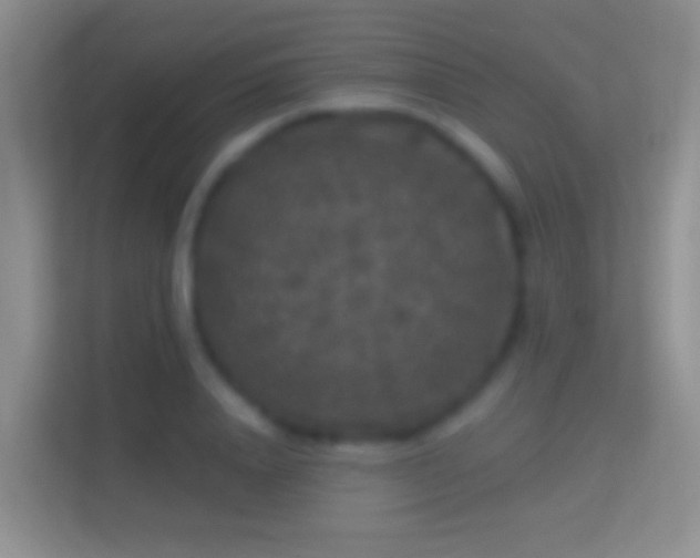 X0000114440840200910231316