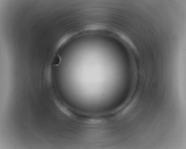 X0000114440842200910231316