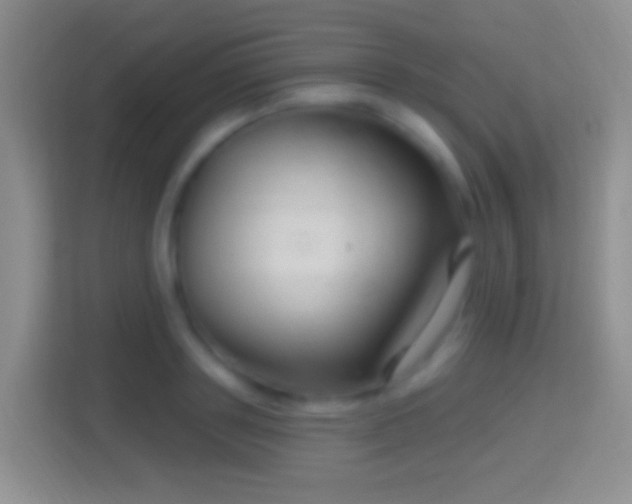 X0000114440843200910231316