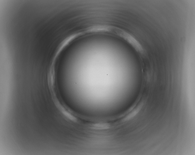 X0000114440844200910231316