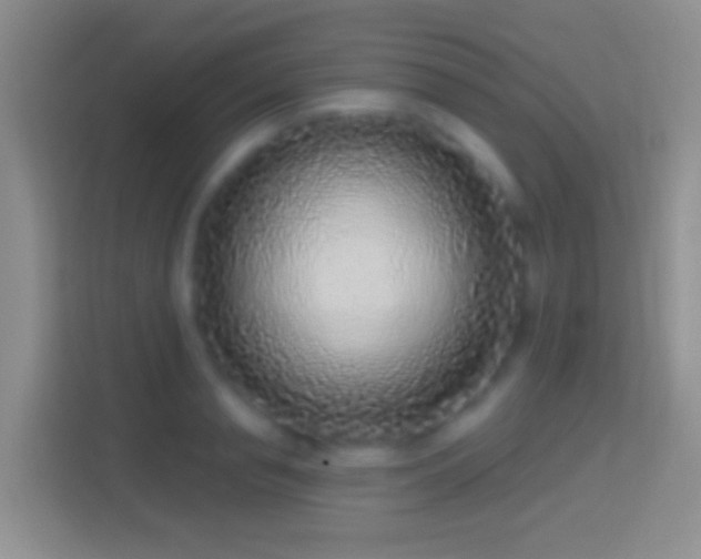 X0000114440845200910231317