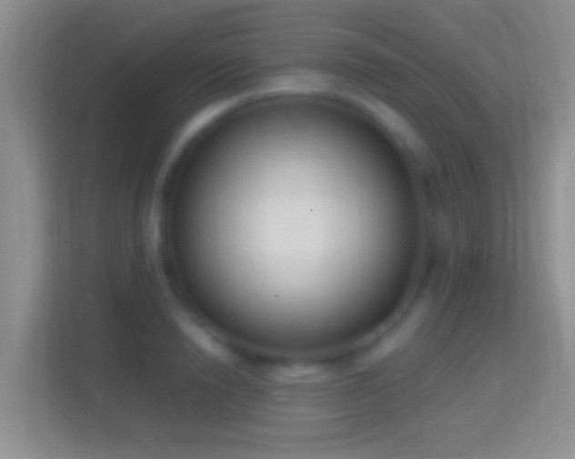 X0000114440846200910231317