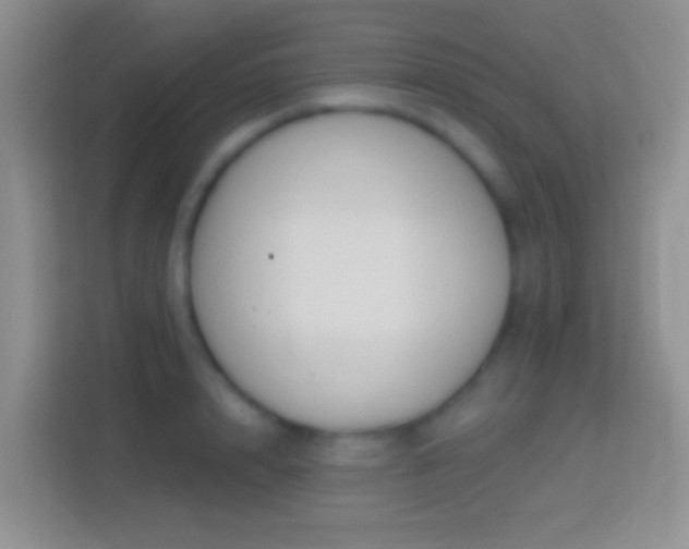 X0000114440848200910231317