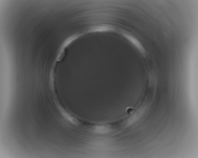 X0000114440850200910231317