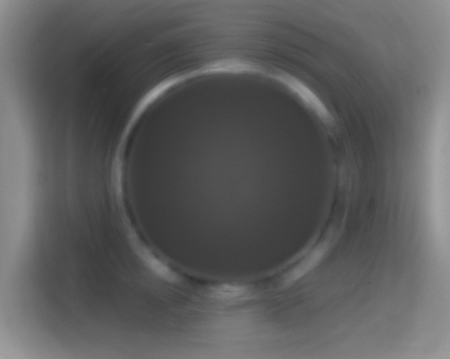 X0000114440854200910231317