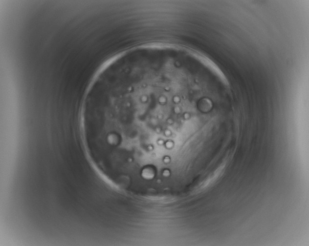 X0000114440855200910231317