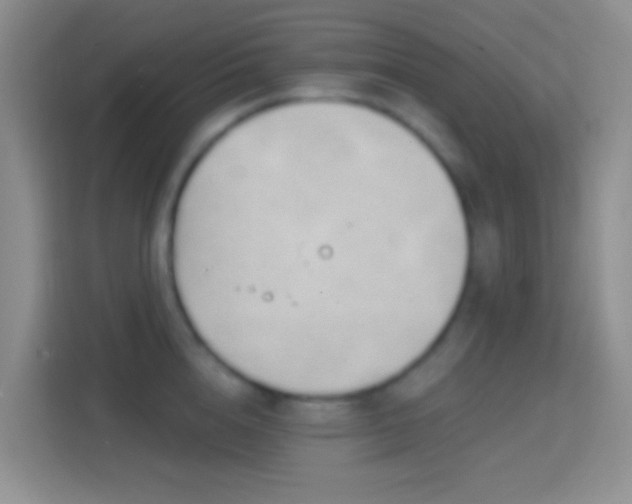 X0000114440856200910231317