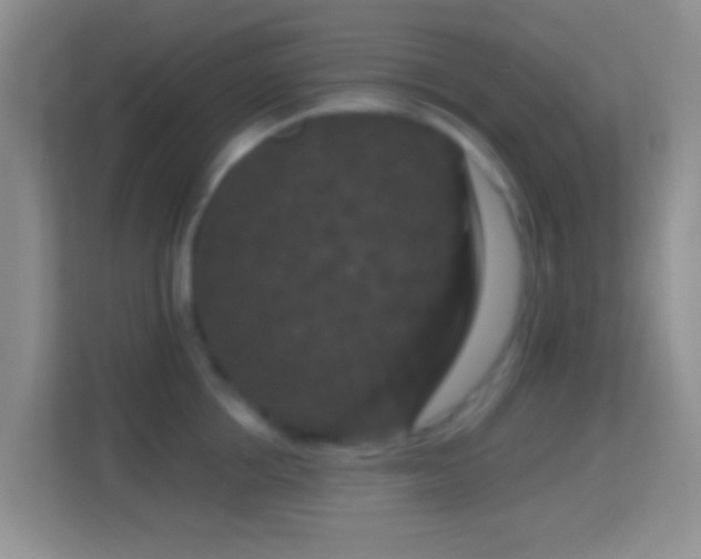 X0000114440858200910231317