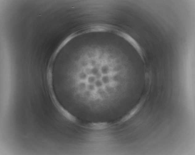 X0000114440859200910231317