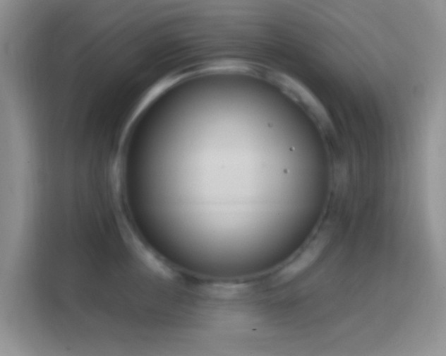 X0000114440860200910231317