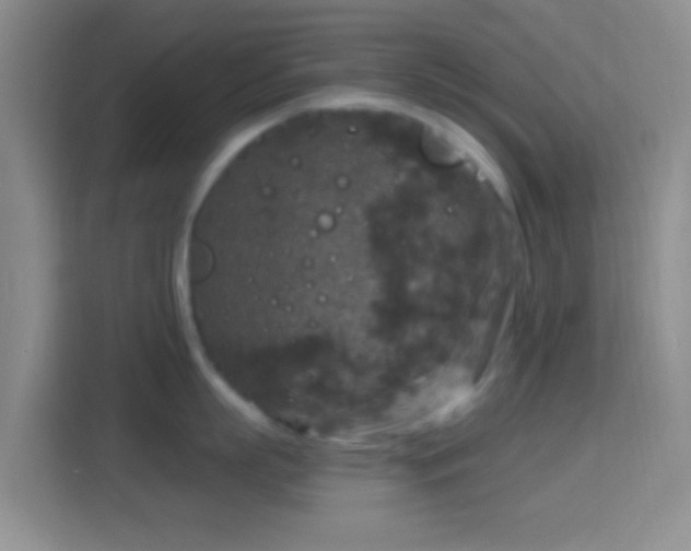 X0000114440863200910231317