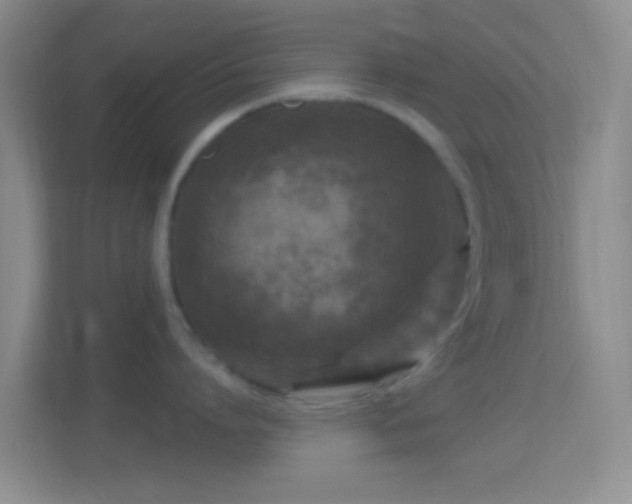 X0000114440864200910231317