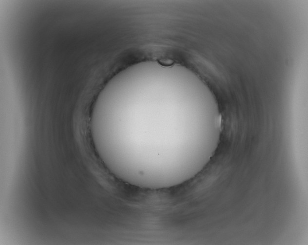 X0000114440865200910231316