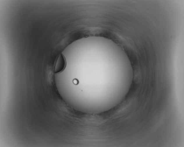 X0000114440866200910231316