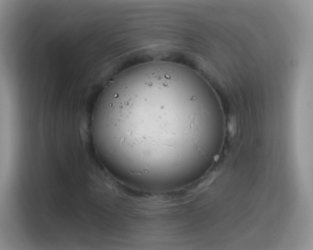 X0000114440867200910231316