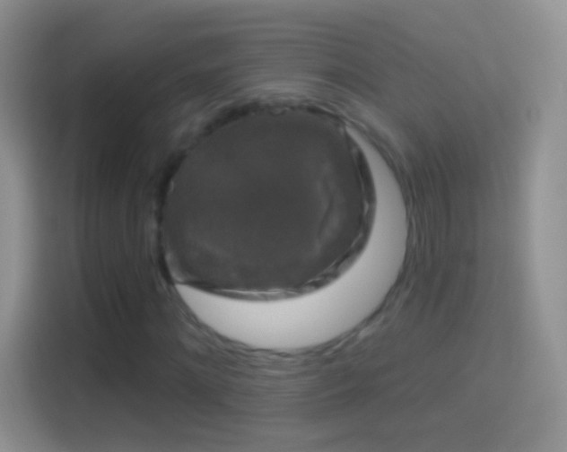 X0000114440868200910231316