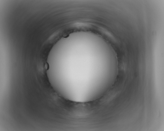 X0000114440869200910231316