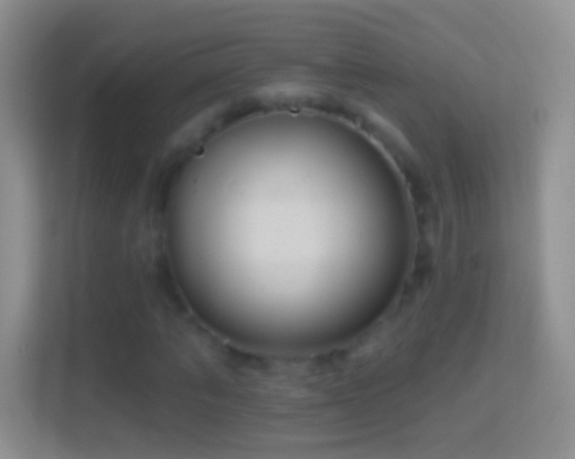 X0000114440870200910231316