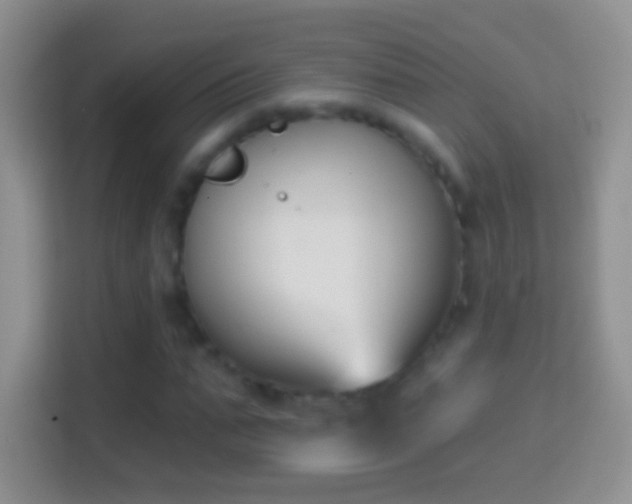 X0000114440871200910231316