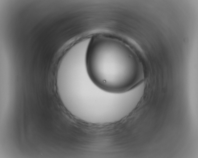 X0000114440872200910231316