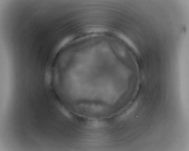 X0000114440874200910231316