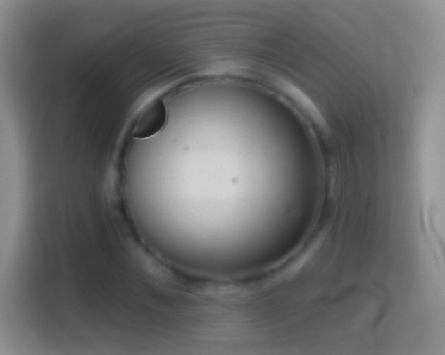 X0000114440876200910231316