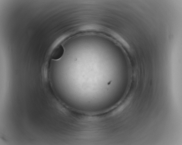 X0000114440877200910231316