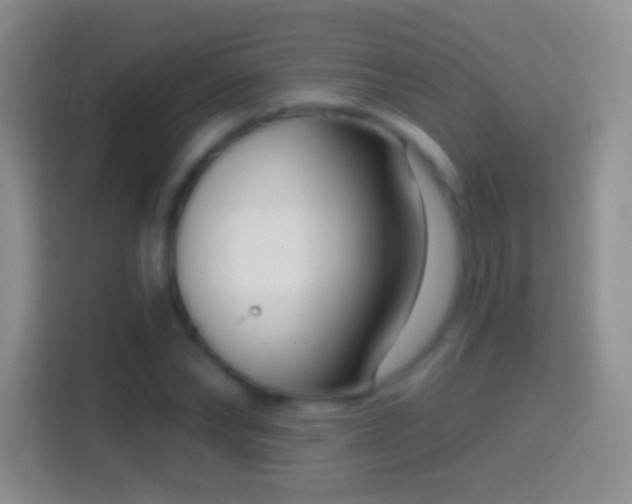 X0000114440878200910231316