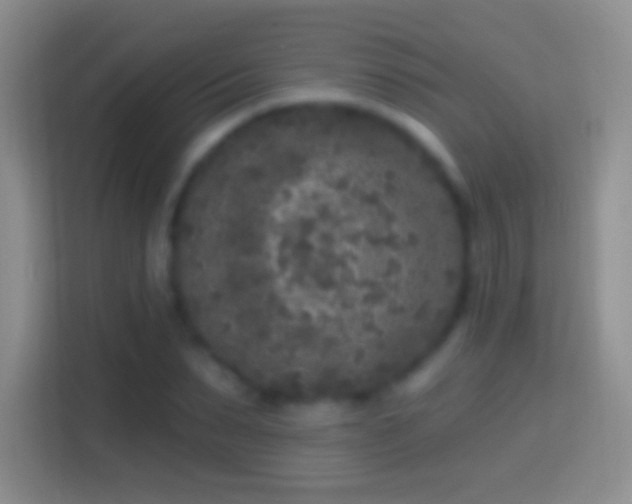 X0000114440879200910231316