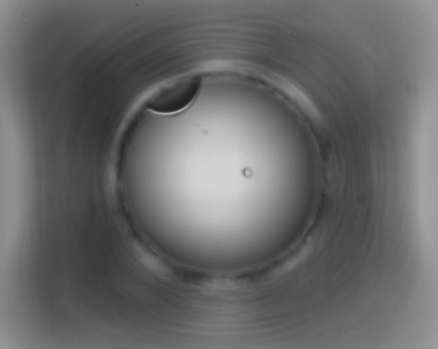 X0000114440880200910231316