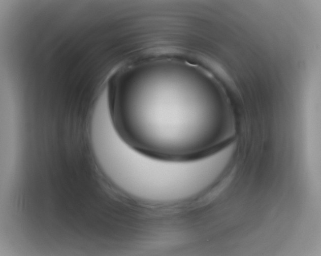 X0000114440881200910231316