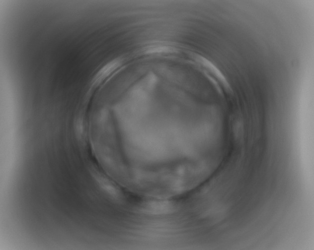 X0000114440882200910231316