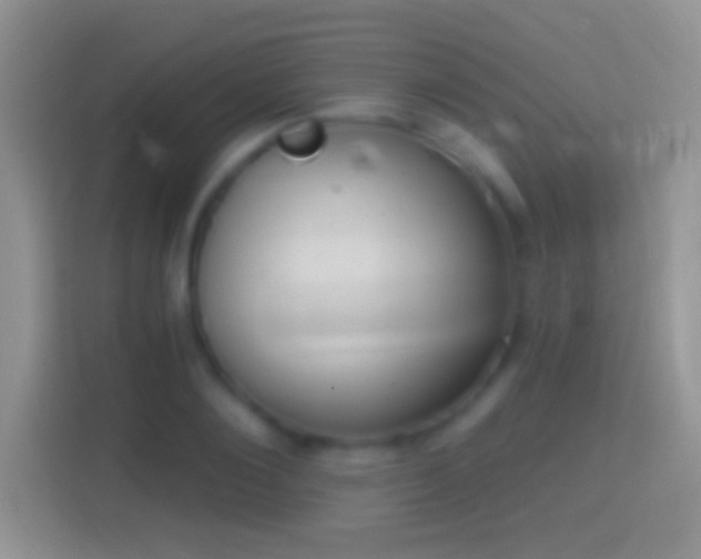 X0000114440884200910231316