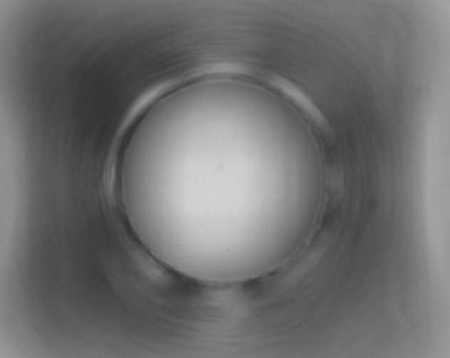 X0000114440886200910231316