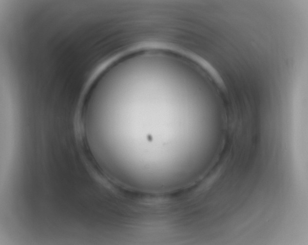 X0000114440887200910231316