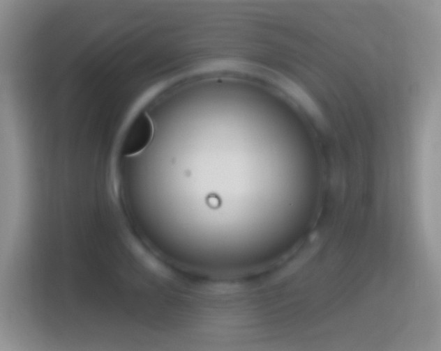 X0000114440888200910231316