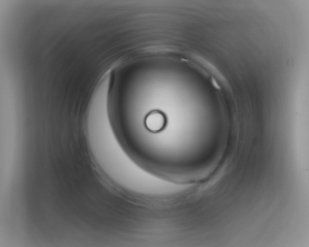 X0000114440889200910231316