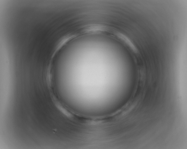 X0000114440890200910231316