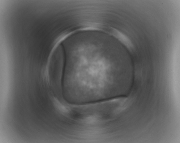 X0000114440892200910231316