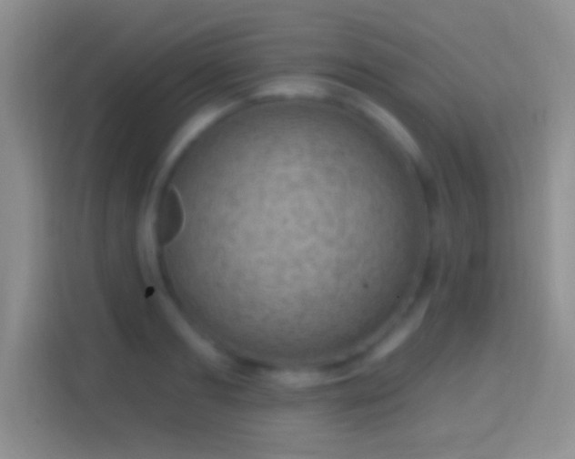 X0000114440893200910231316