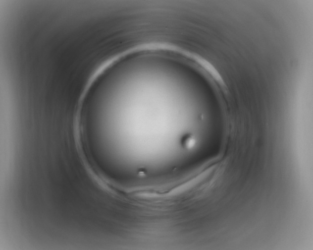 X0000114440895200910231316