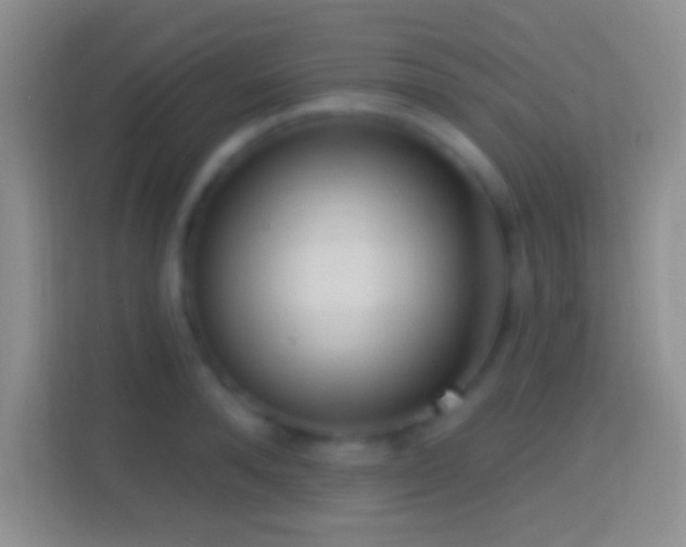 X0000114440896200910231316