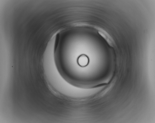 X0000114440897200910231316