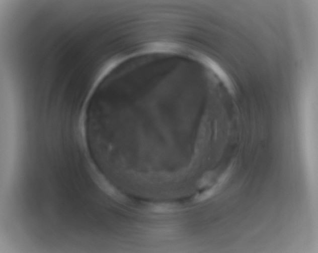 X0000114440899200910231316