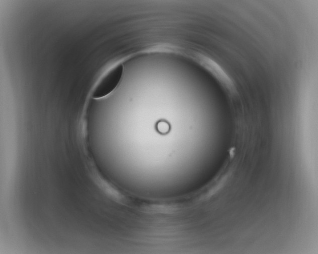 X0000114440900200910231316