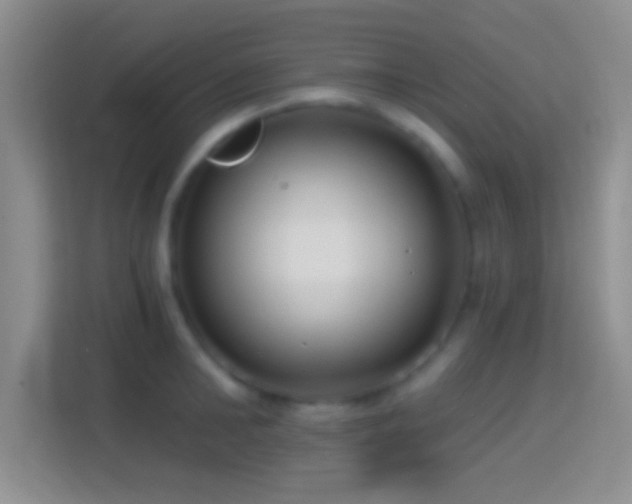 X0000114440902200910231316