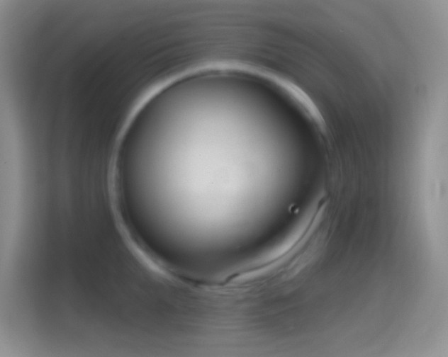 X0000114440903200910231316