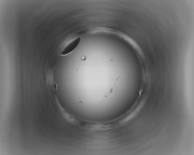 X0000114440905200910231316