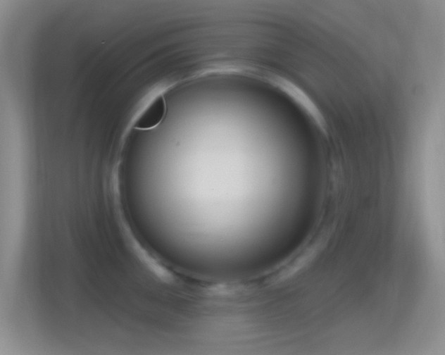 X0000114440906200910231316