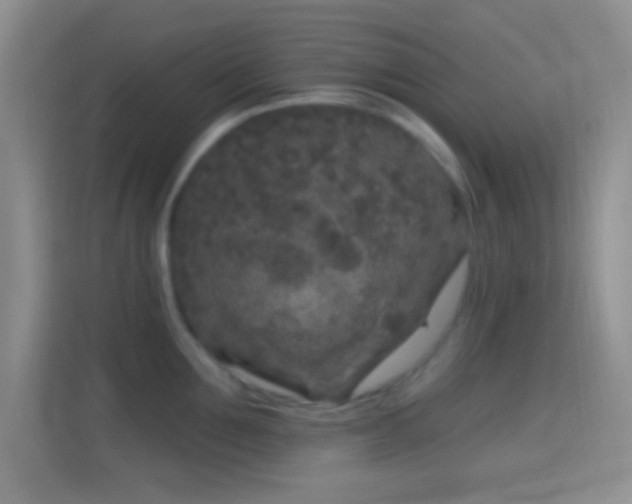 X0000114440907200910231316